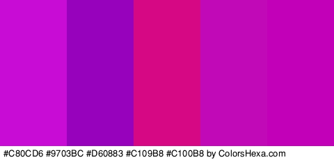 #C80CD6 #9703BC #D60883 #C109B8 #C100B8 Colors Logo