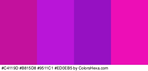 #C4119D #B815D8 #9511C1 #ED0EB5 Colors Logo