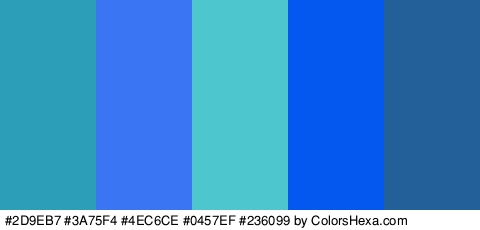 #2D9EB7 #3A75F4 #4EC6CE #0457EF #236099 Colors Logo