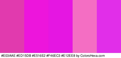 #E03AAE #ED15DB #E516E2 #F46EC3 #E12EE8 Colors Logo