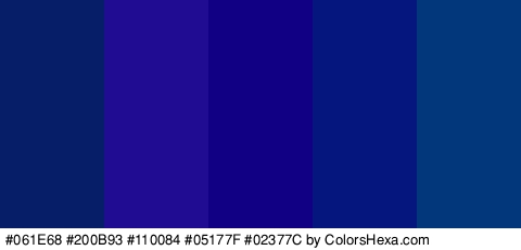 #061E68 #200B93 #110084 #05177F #02377C Colors Logo