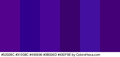 #52028C #31008C #490696 #3B026D #430F9E #440177 Colors Logo