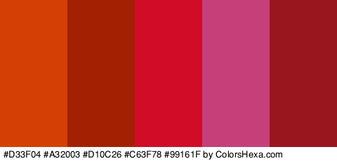 #D33F04 #A32003 #D10C26 #C63F78 #99161F Colors Logo