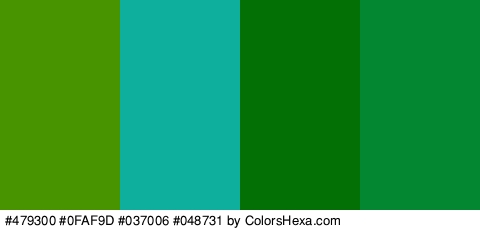 #479300 #0FAF9D #037006 #048731 Colors Logo