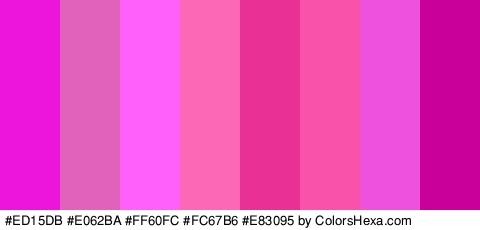 #ED15DB #E062BA #FF60FC #FC67B6 #E83095 #F952AB #EF51DF #C9009A Colors Logo