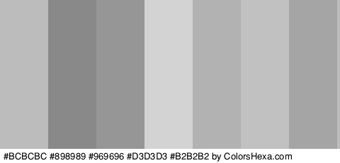 #BCBCBC #898989 #969696 #D3D3D3 #B2B2B2 #C1C1C1 #A5A5A5 Colors Logo