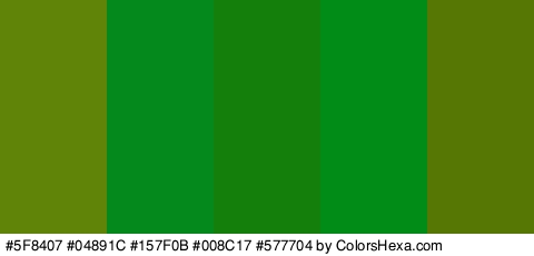 #5F8407 #04891C #157F0B #008C17 #577704 Colors Logo