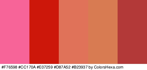 #F76598 #CC170A #E07259 #D87A52 #B23937 Colors Logo
