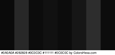 #0A0A0A #282828 #0C0C0C #111111 #0C0C0C #161616 #2D2D2D #0C0C0C Colors Logo