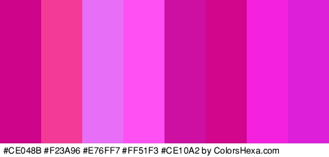 #CE048B #F23A96 #E76FF7 #FF51F3 #CE10A2 #D1068D #F422DF #DD1FDA Colors Logo