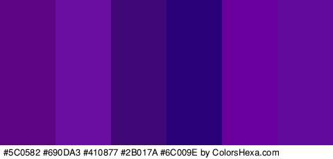 #5C0582 #690DA3 #410877 #2B017A #6C009E #610A9B Colors Logo