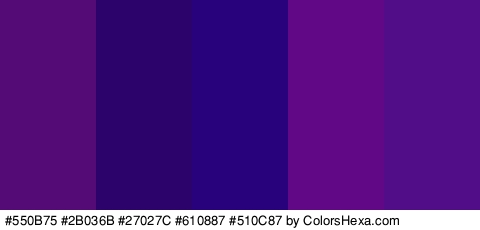 #550B75 #2B036B #27027C #610887 #510C87 Colors Logo