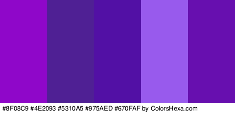 #8F08C9 #4E2093 #5310A5 #975AED #670FAF Colors Logo