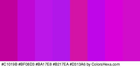 #C1019B #BF08D3 #BA17E8 #B217EA #D313A6 #BE06E8 #D802D8 #D10CCA Colors Logo