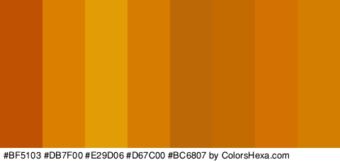 #BF5103 #DB7F00 #E29D06 #D67C00 #BC6807 #C46B00 #D37102 #D37E00 Colors Logo