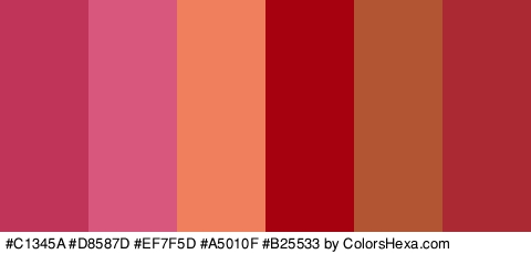 #C1345A #D8587D #EF7F5D #A5010F #B25533 #AA2933 Colors Logo