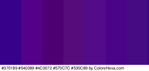 #370189 #540089 #4C0072 #570C7C #530C89 #490487 #460A82 Colors Logo
