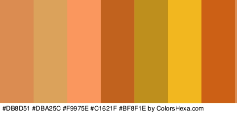#DB8D51 #DBA25C #F9975E #C1621F #BF8F1E #F2B61F #CC6014 Colors Logo