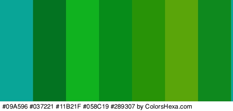 #09A596 #037221 #11B21F #058C19 #289307 #5AA509 #0D891E Colors Logo