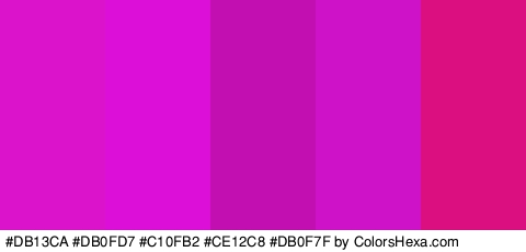 #DB13CA #DB0FD7 #C10FB2 #CE12C8 #DB0F7F Colors Logo