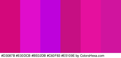 #D3087B #E00DCB #BE02DB #C60F83 #E5109E #D1149E Colors Logo