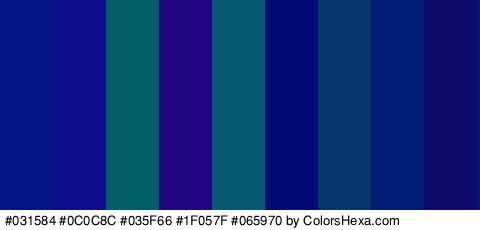 #031584 #0C0C8C #035F66 #1F057F #065970 #000B75 #06356B #001D75 #0D0A68 Colors Logo