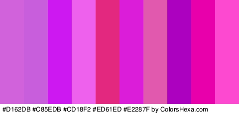 #D162DB #C85EDB #CD18F2 #ED61ED #E2287F #DB1CD8 #E059AF #AC01BF #E800AA #FC49CF Colors Logo