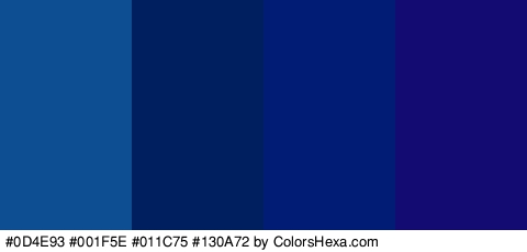 #0D4E93 #001F5E #011C75 #130A72 Colors Logo