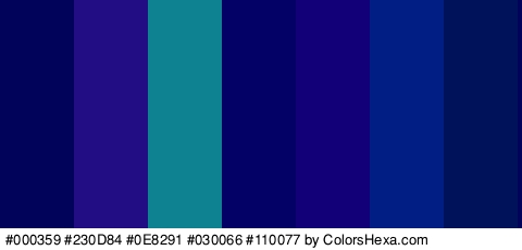 #000359 #230D84 #0E8291 #030066 #110077 #001E84 #001259 Colors Logo