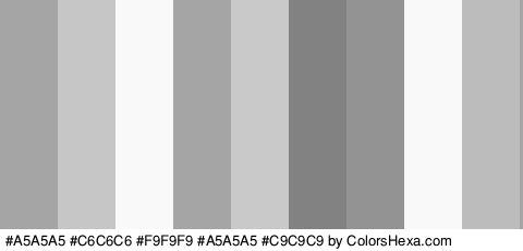#A5A5A5 #C6C6C6 #F9F9F9 #A5A5A5 #C9C9C9 #828282 #939393 #F9F9F9 #BCBCBC Colors Logo