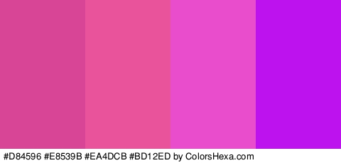 #D84596 #E8539B #EA4DCB #BD12ED Colors Logo