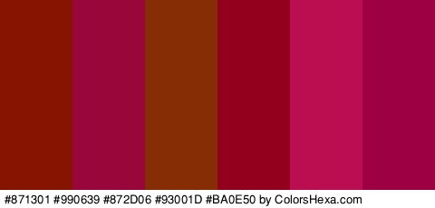 #871301 #990639 #872D06 #93001D #BA0E50 #9E0044 Colors Logo