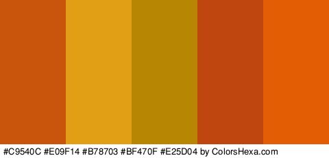 #C9540C #E09F14 #B78703 #BF470F #E25D04 Colors Logo