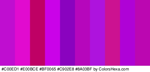#C00ED1 #E00BCE #BF0065 #C902E8 #8A03BF #B607BC #AE13DD #CC1291 #AF02D6 #BA07B1 Colors Logo