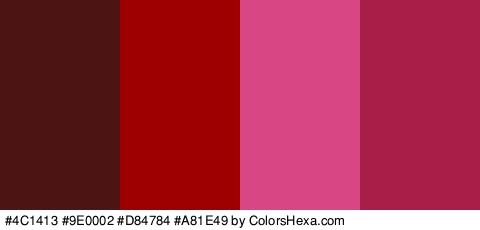 #4C1413 #9E0002 #D84784 #A81E49 Colors Logo