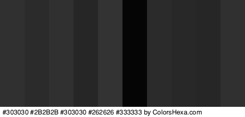 #303030 #2B2B2B #303030 #262626 #333333 #050505 #2B2B2B #282828 #262626 #303030 Colors Logo