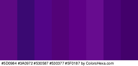 #5D0984 #3A0972 #530587 #530377 #5F0187 #670C8E #4E027A #42016B Colors Logo