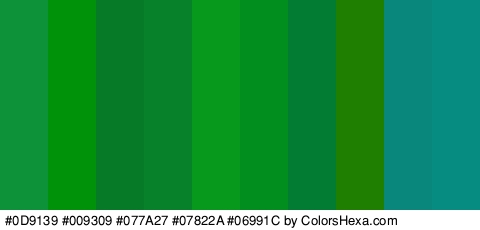 #0D9139 #009309 #077A27 #07822A #06991C #028E1E #017C32 #1E7F01 #09877C #078C81 Colors Logo