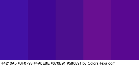 #4210A5 #3F0793 #4A0E8E #670E91 #580891 Colors Logo