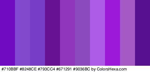 #710BBF #8248CE #793CC4 #671291 #9036BC #8C4ABF #AE5CE8 #9A19D6 #A358C4 #58118E Colors Logo