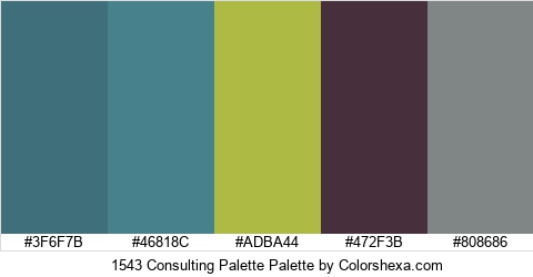 1543 Consulting Palette Colors Logo