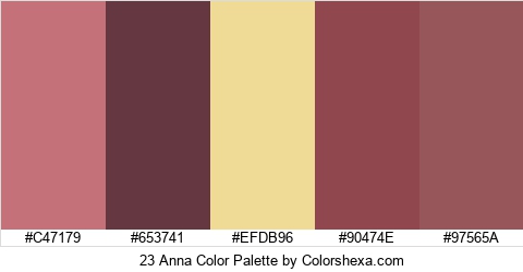 23 Anna Color Colors Logo