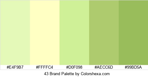 43 Brand Colors Logo