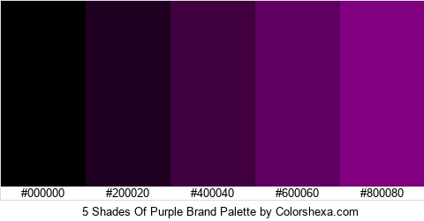 5 Shades Of Purple Brand Colors Logo