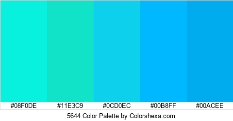 5644 Color Colors Logo