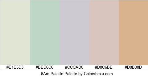 6Am Palette Colors Logo