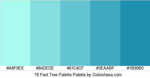 78 Foot Tree Palette Colors Logo