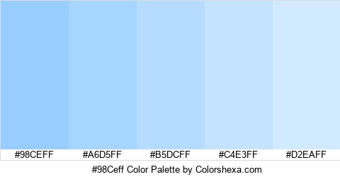 #98Ceff Color Colors Logo