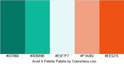 Aced It Palette Colors Logo