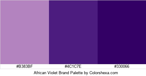 African Violet Brand Colors Logo